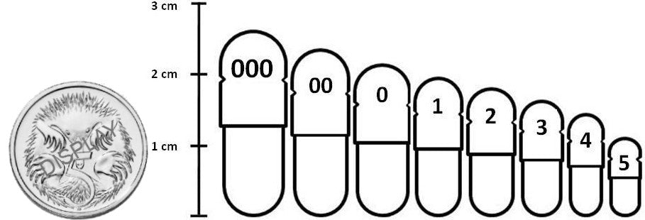 capsule sizes